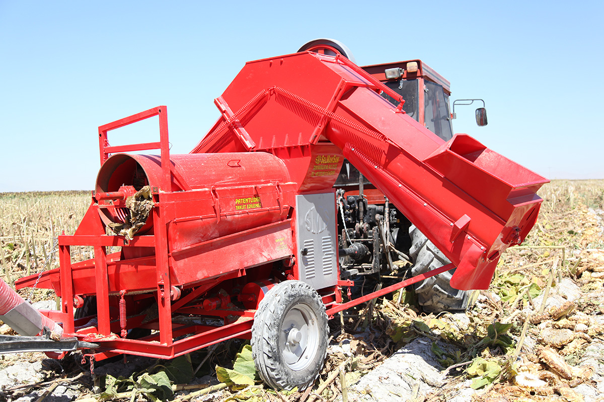 Conveyor Sunflower Seed Thresher