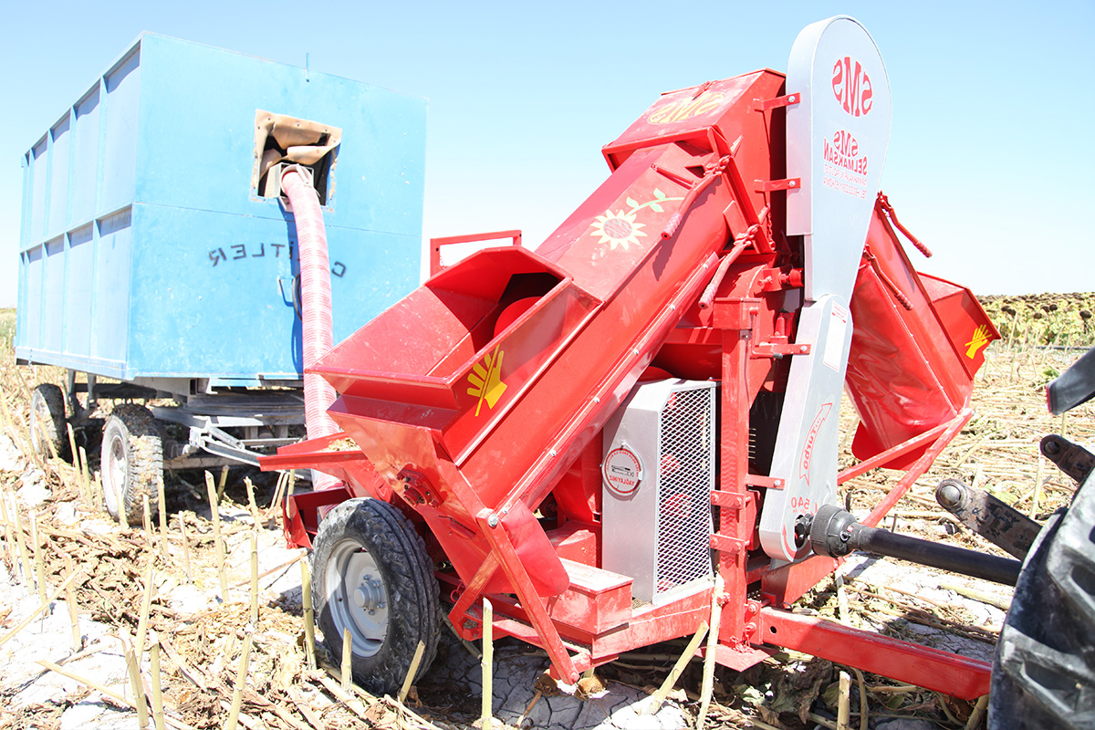 Conveyor Sunflower Seed Thresher