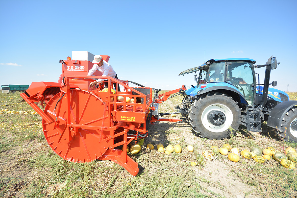 T.D. 2900 Die Maschine für die Entkernung der Kürbisse