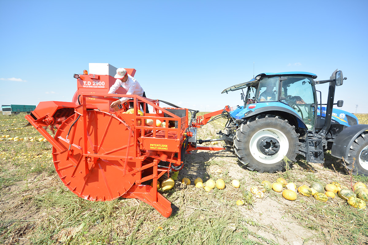 T.D. 2900 Pumpkin Seed Extracting Machine