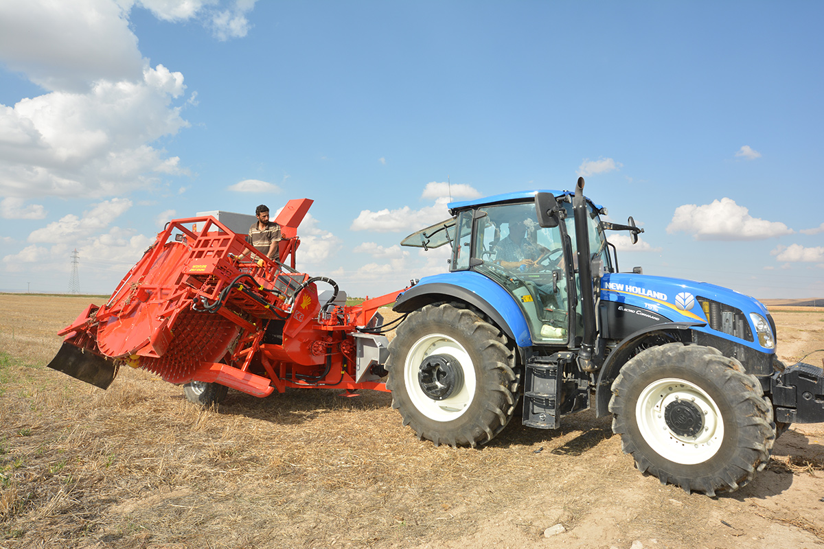 T.D. 2900 Die Maschine für die Entkernung der Kürbisse