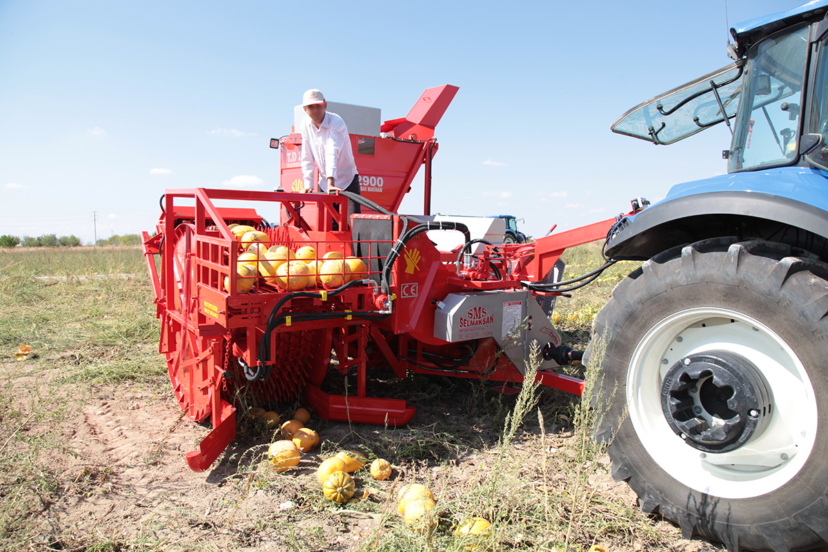 T.D. 2900 Die Maschine für die Entkernung der Kürbisse